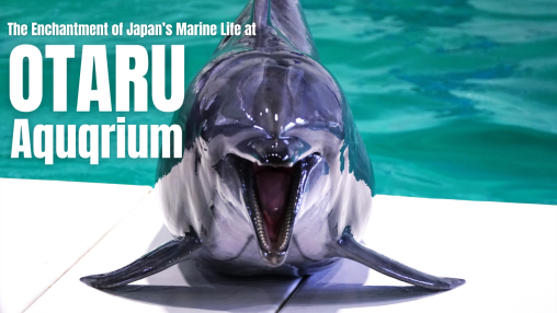aquariumimg