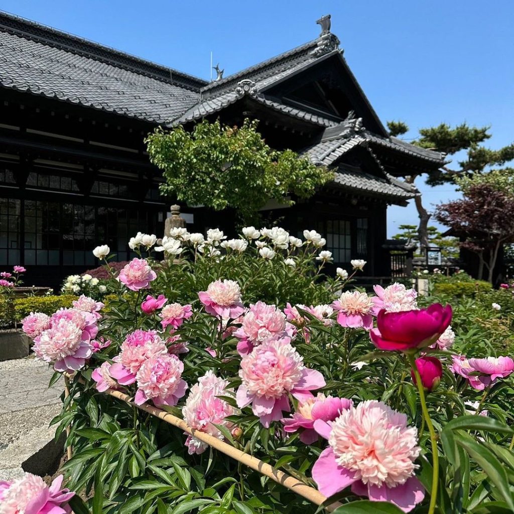 kihinkan01