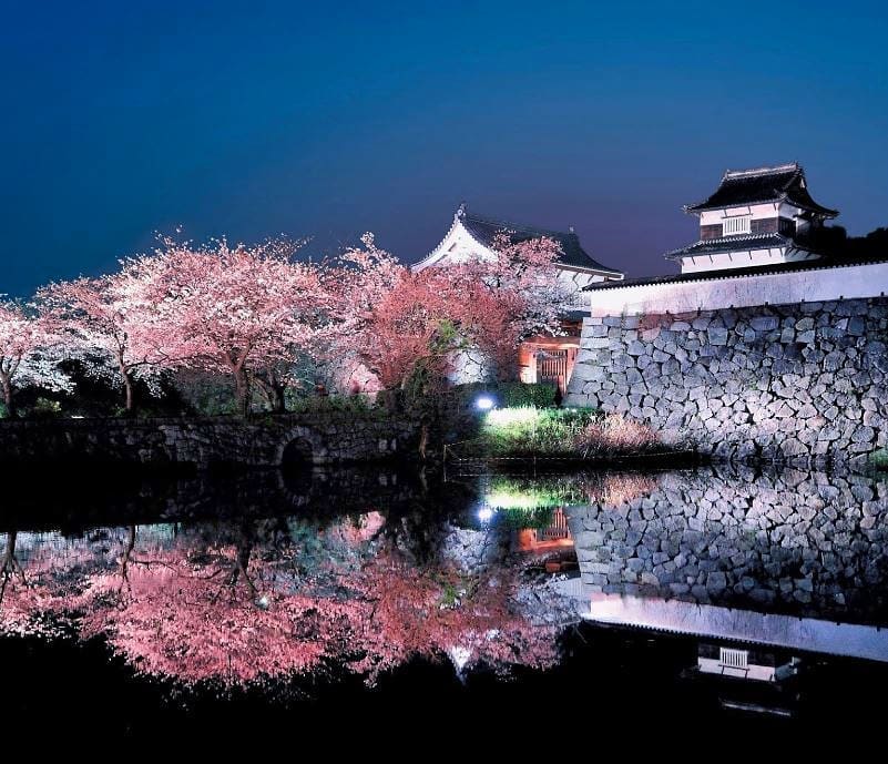 fukuokacastle